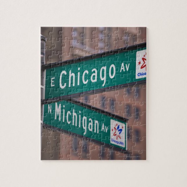 Chicago and Michigan Avenue signposts, Chicago, Jigsaw Puzzle (Vertical)