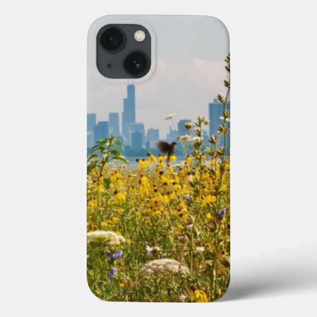 Chicago as seen from Montrose Harbor's bird Case-Mate iPhone Case (Back)