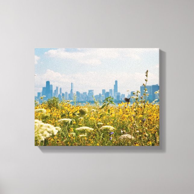 Chicago as seen from Montrose Harbour's bird Canvas Print (Front)