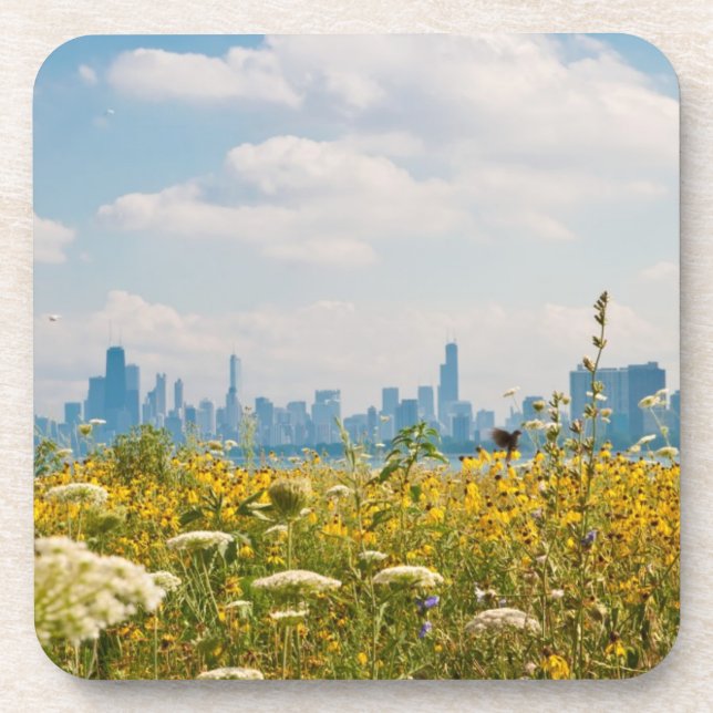 Chicago as seen from Montrose Harbour's bird Coaster (Front)