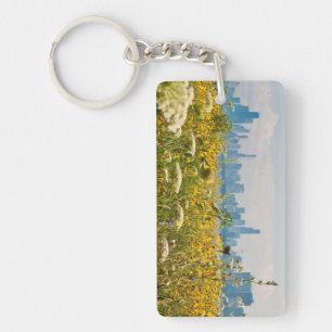 Chicago as seen from Montrose Harbour's bird Keychain