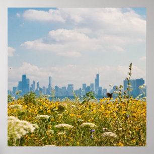 Chicago as seen from Montrose Harbour's bird Poster
