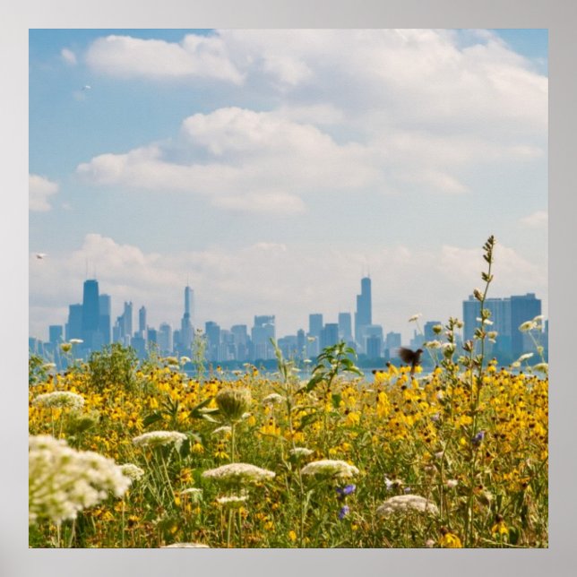 Chicago as seen from Montrose Harbour's bird Poster (Front)