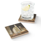 Chicago famous landmark at night