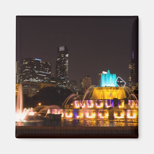 Chicago Grant Park Magnet (Front)