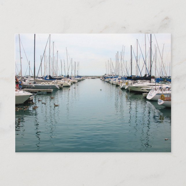 Chicago Harbour - Sailboat Postcard (Front)