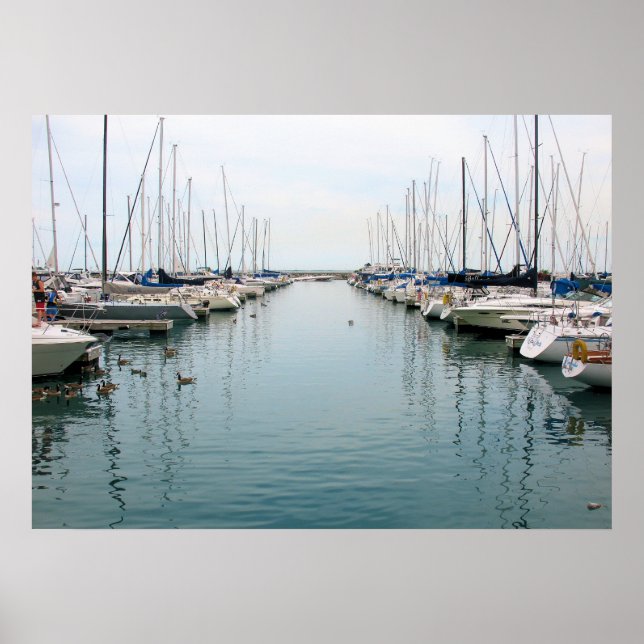 Chicago Harbour - Sailboats at Rest Poster (Front)