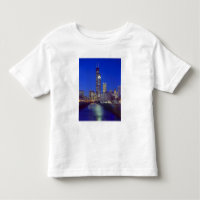 Chicago, Illinois, Skyline at night with Chicago