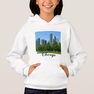 Chicago Illinois Windy City Park Buildings Destiny