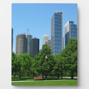 Chicago Illinois Windy City Park Buildings Destiny Plaque