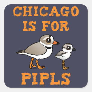 Chicago is for PIPLs Square Sticker