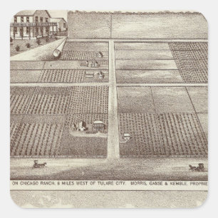 Chicago, Kay ranches Square Sticker