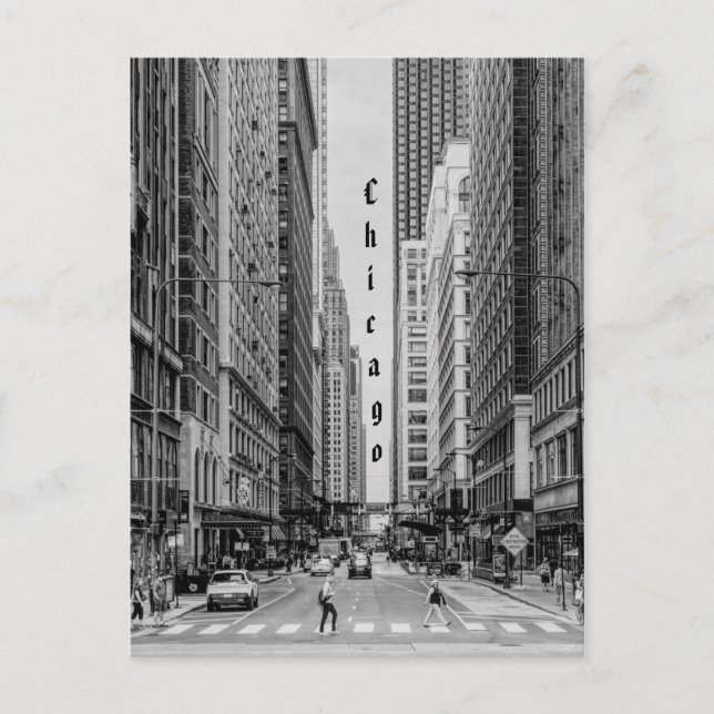 Chicago Madison Street Grayscale Postcard (Front)