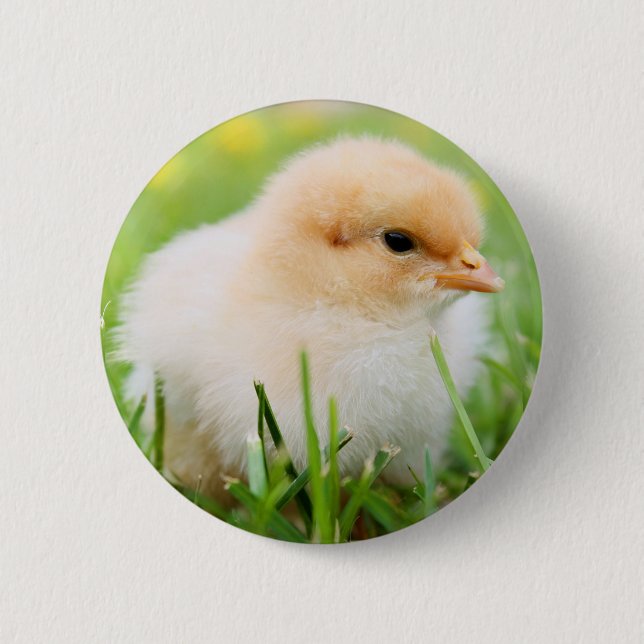 Chick 2 Inch Round Button (Front)