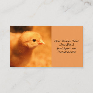 Chick Business Card