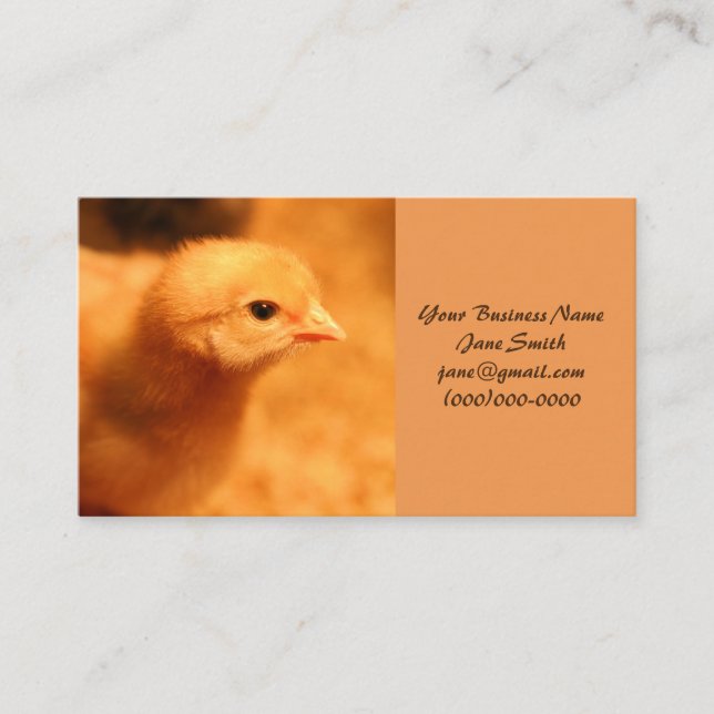 Chick Business Card (Front)