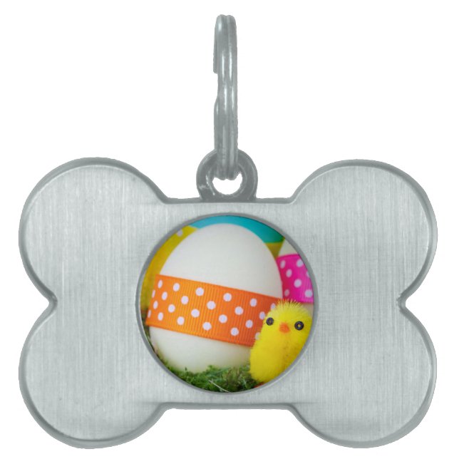 chick easter egg hunt pet name tag (Front)