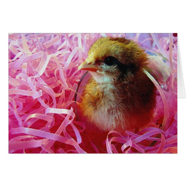 Chick en Verre à Vin (Devant horizontal)