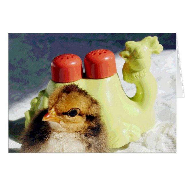 Chick et Camel (Devant horizontal)