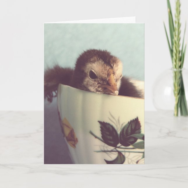 Chick in a Vintage Teacup Easter Holiday Card (Front)