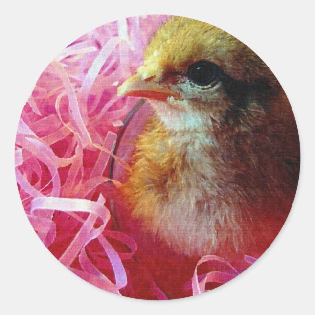 Chick in Wine Glass Classic Round Sticker (Front)