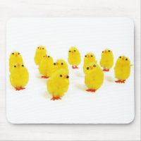 Chick magnet chillin with my peeps funny photo