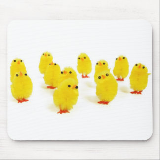 Chick magnet chillin with my peeps funny photo mouse pad