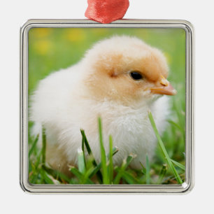 Chick Metal Ornament