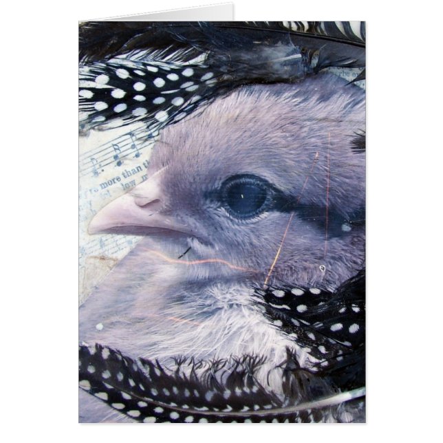 Chick Mixed Media Collage (Front)