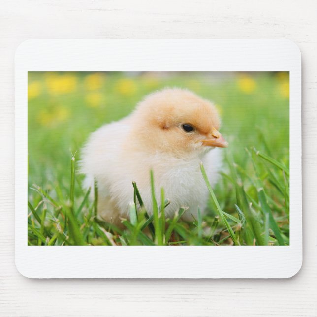 Chick Mouse Pad (Front)