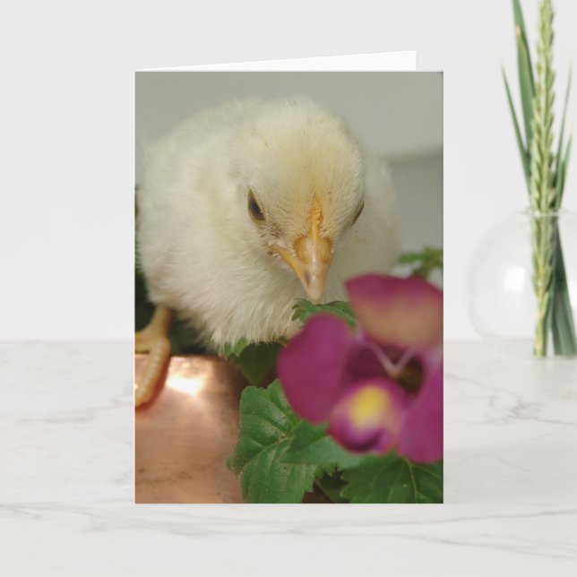 Chick on Copper Tea Kettle in Garden All Occasions Card (Front)