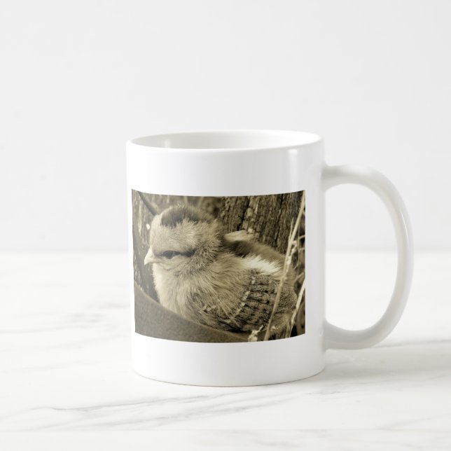 Chick Playing in the Garden in Sepia Photography Coffee Mug (Right)