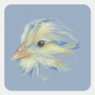 Chick Plymouth Barred Rock Square Sticker
