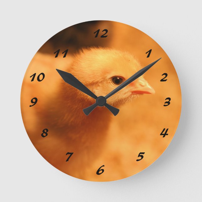 Chick Round Clock (Front)