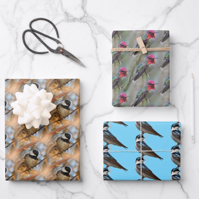 Chickadee / Anna's Hummingbird / Tree Swallow Wrapping Paper Sheet (Front)