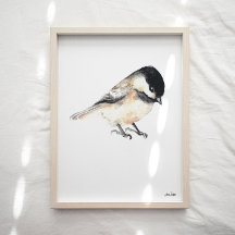 Chickadee Art Print