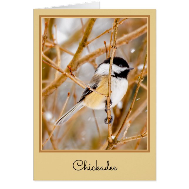 Chickadee au plafond noir - Photo originale (Devant)