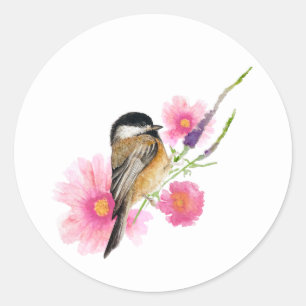 Chickadee Bird Black Capped Art Classic Round Sticker