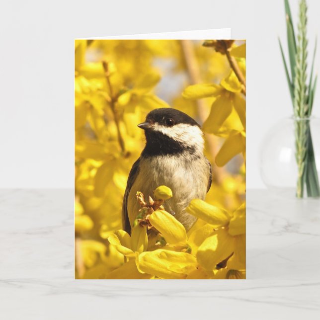 Chickadee Bird in Yellow Flowers Blank Card (Front)