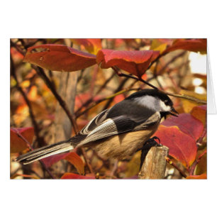 Chickadee Bird with Pink Red Autumn Leaves