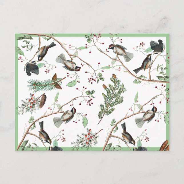 Chickadee Birds Berries & Pinecones Watercolor  Holiday Postcard (Front)