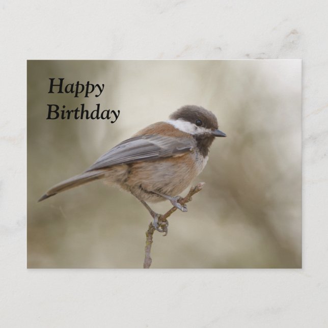 Chickadee Birthday Card (Front)