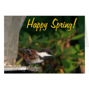 Chickadee Card