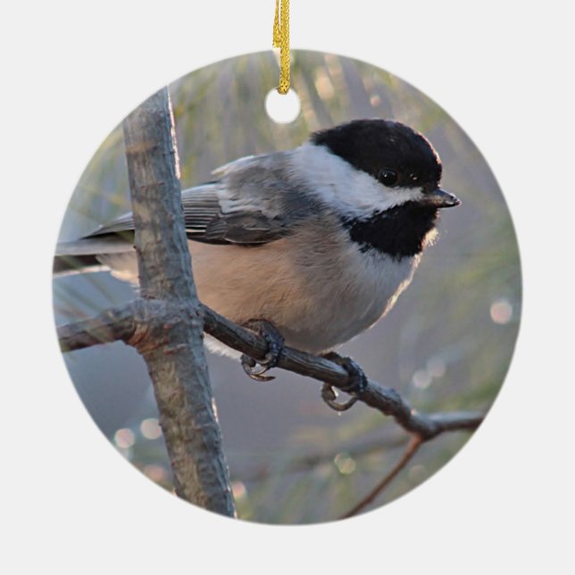 Chickadee Ceramic Ornament (Back)