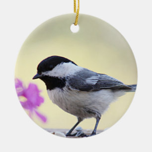 Chickadee Ceramic Ornament