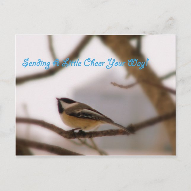 Chickadee Cheer Postcard (Front)