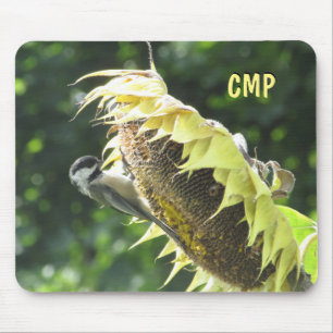 Chickadee Eating Sunflower seeds Mouse Pad