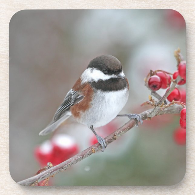 Chickadee in Falling Snow with Red Berries Coaster (Front)
