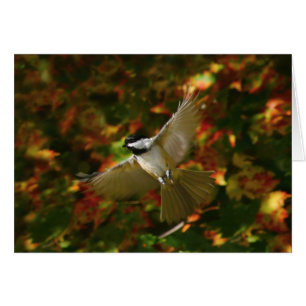 Chickadee In Flight