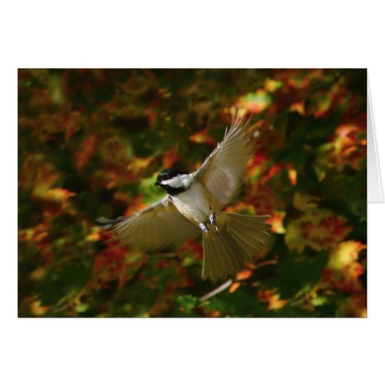 Chickadee In Flight Card